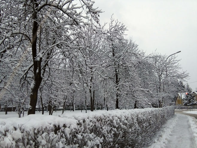 Зима - Фото: РТРС