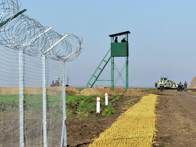 Граница између Украјине и Русије - Фото: AFP