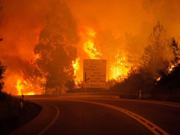 Пожар у Португалу  (Фото:FaH) (Архив) - 