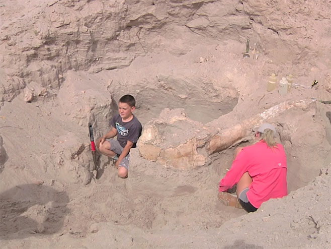 Дјечак пронашао фосил - Фото: Screenshot/YouTube