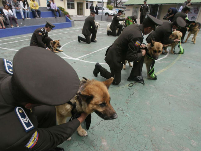 Полицијски пси у Екавдору отишли у пензију - Фото: AP